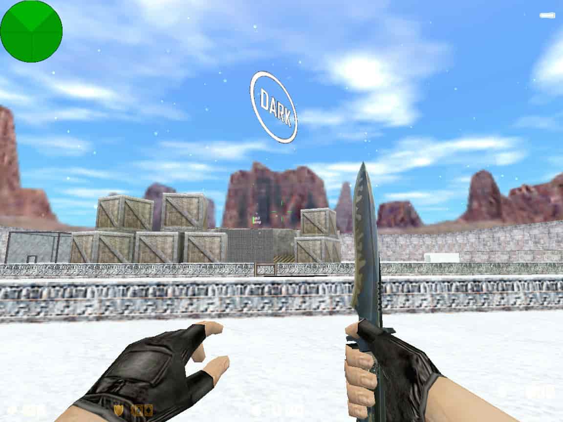 zm_snow55_dp