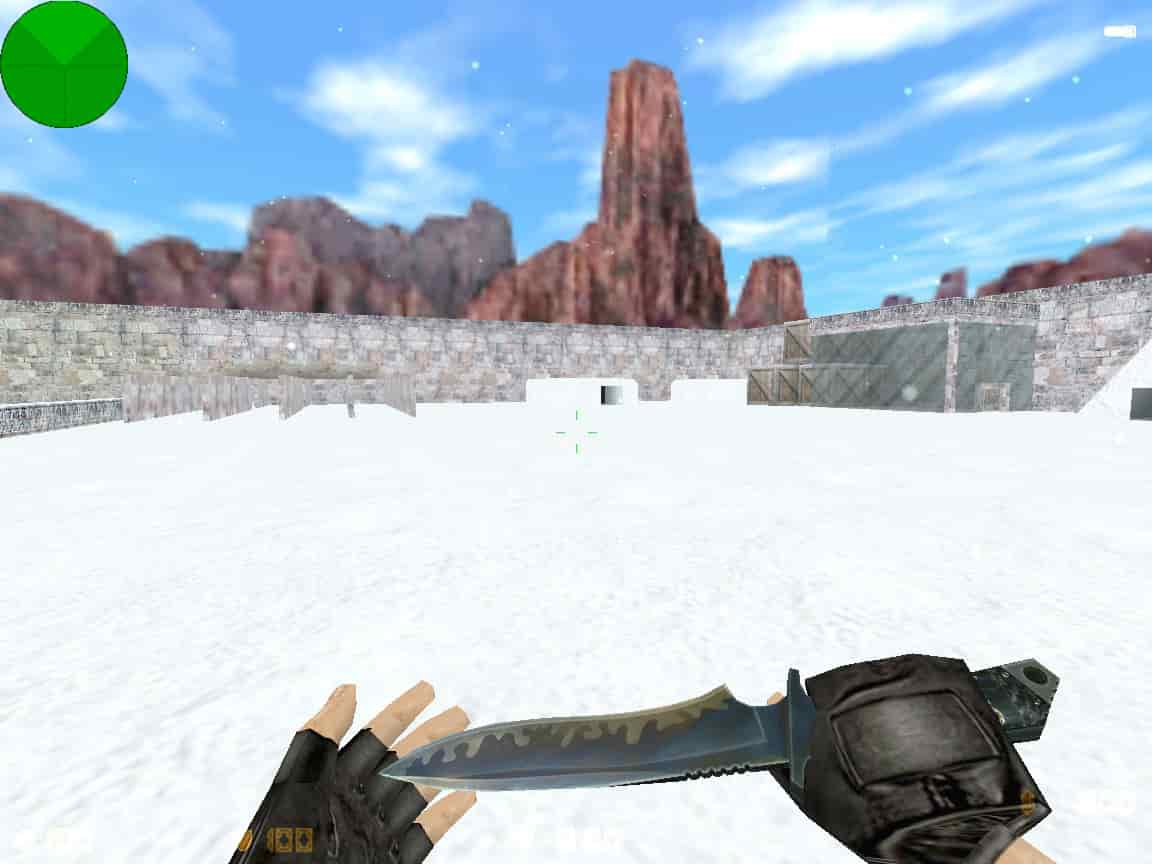 zm_snow55_dp