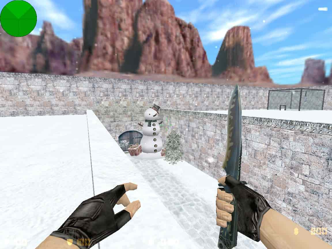 zm_snow55_dp
