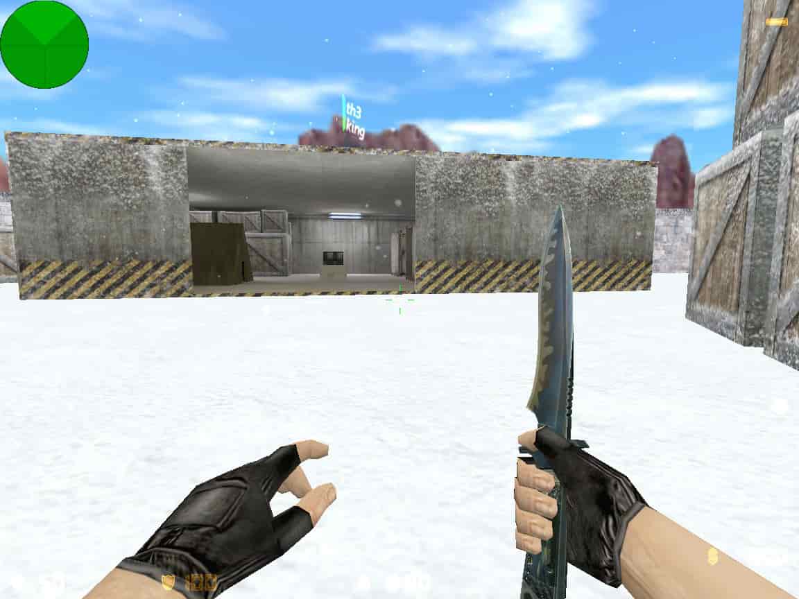 zm_snow55_dp