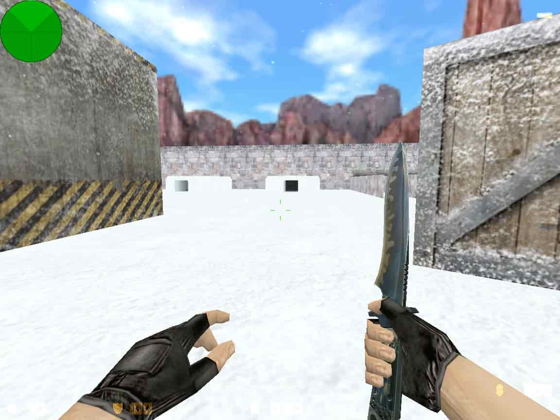zm_snow55_dp