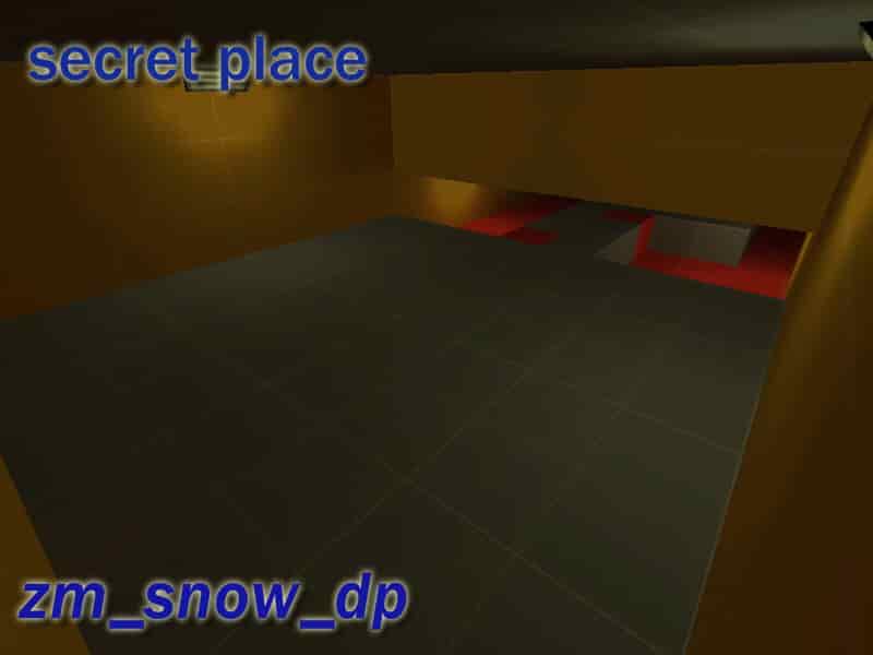 zm_snow_dp