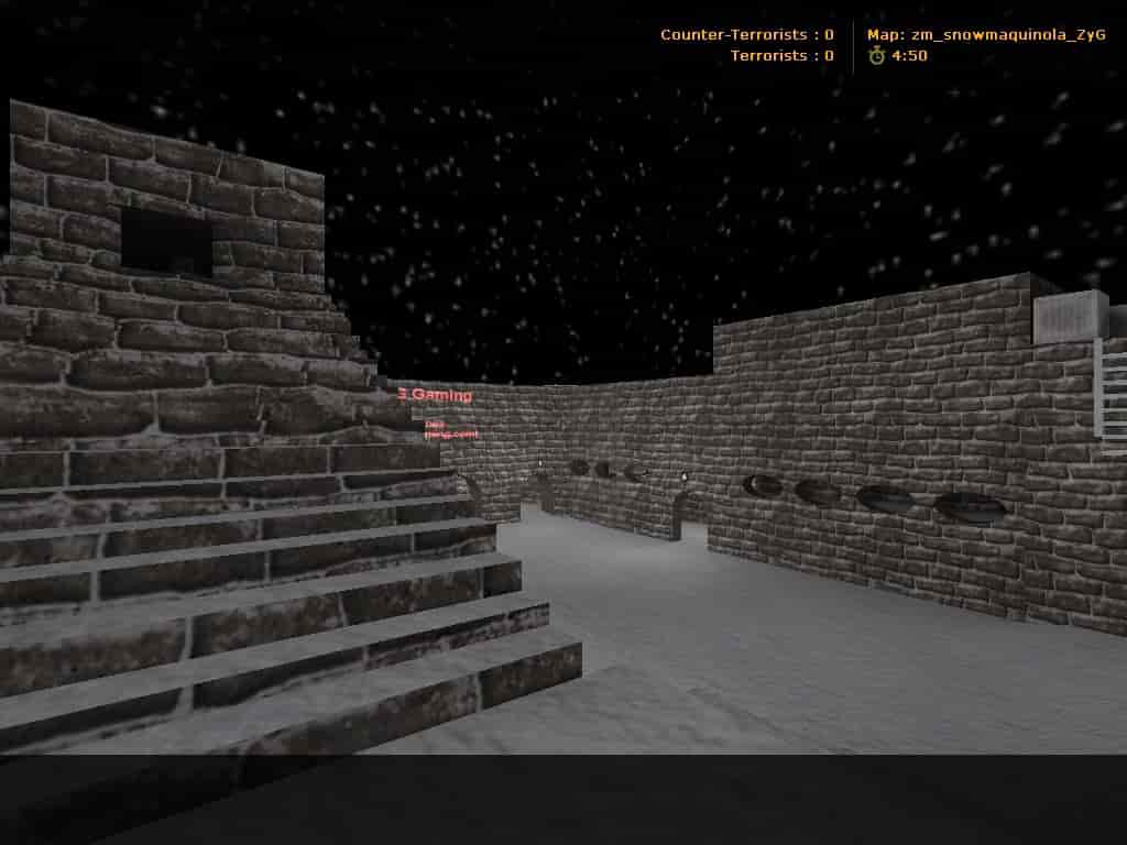 zm_snowmaquinola_ZyG