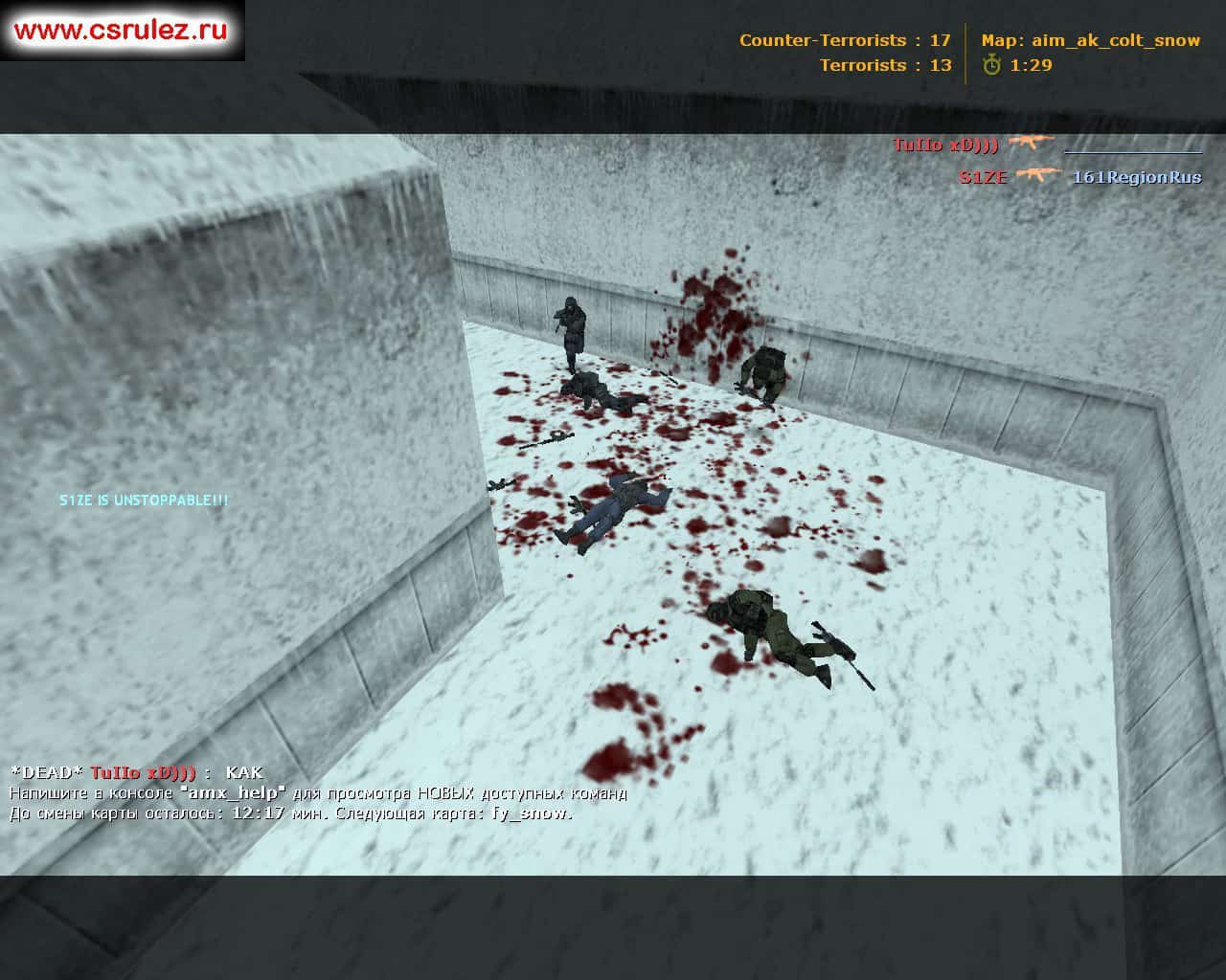 aim_ak_colt_snow
