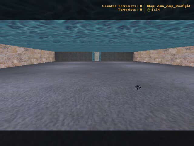 aim_awp_roofight