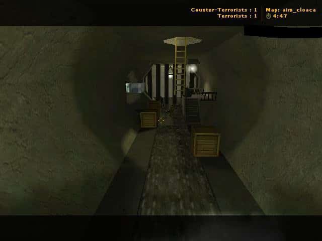 aim_cloaca