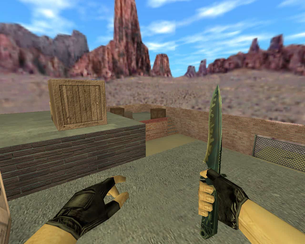 aim_combat