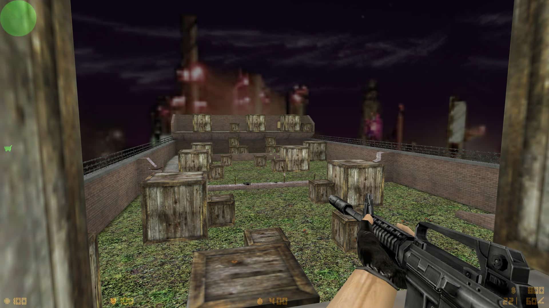 aim_lionn