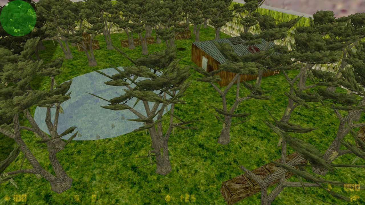 aim_satteam_forest