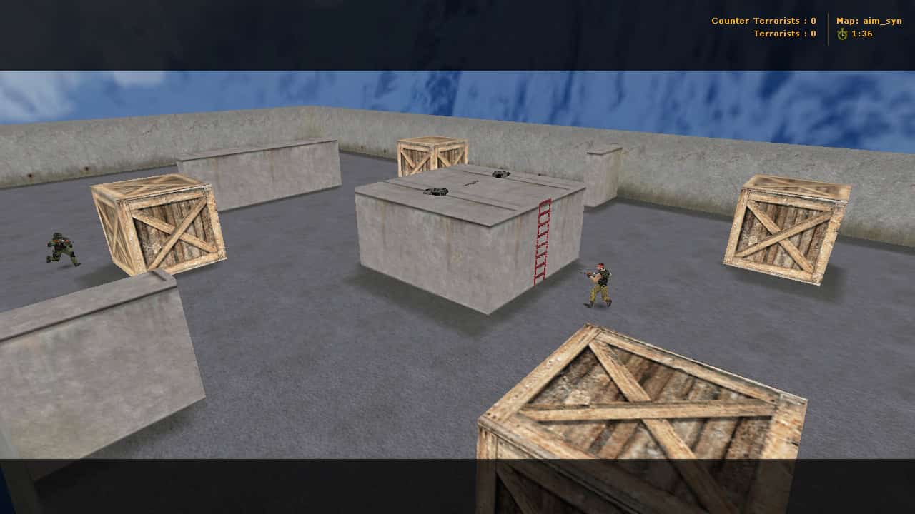 aim_syn