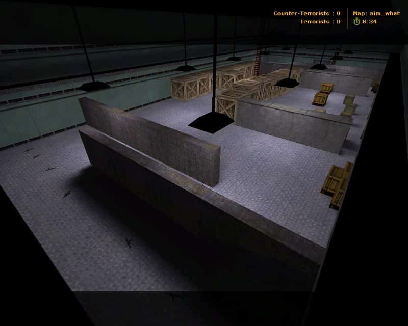 aim_what