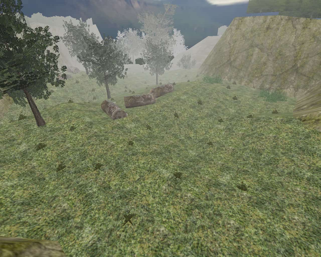 awp_forest_cs