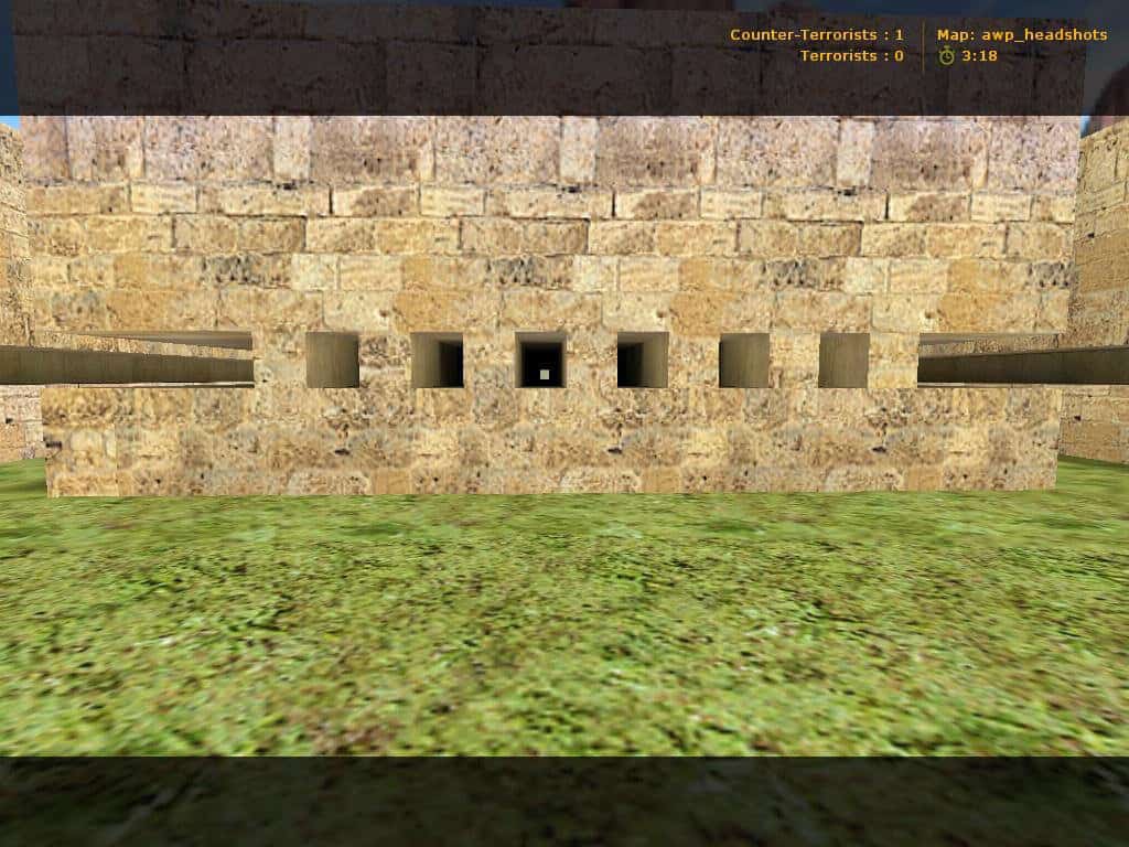 awp_headshots
