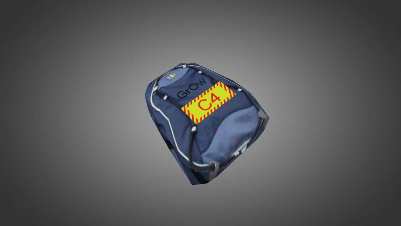 School Backpack