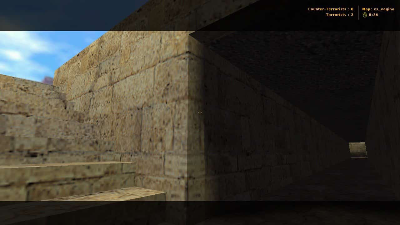 cs_vagina