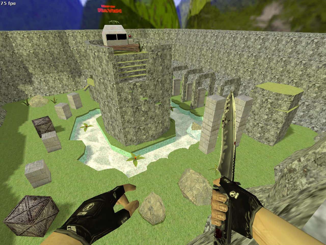 hnslt_raven_hops