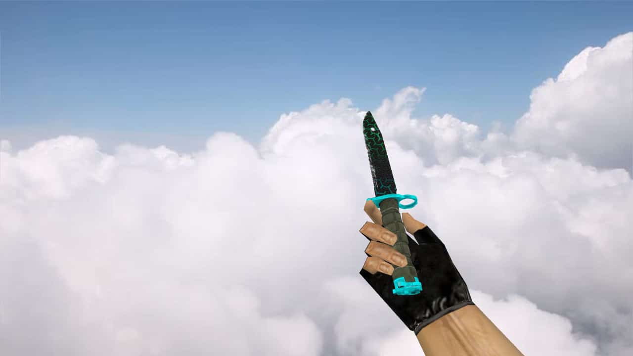 Bayonet Polymer