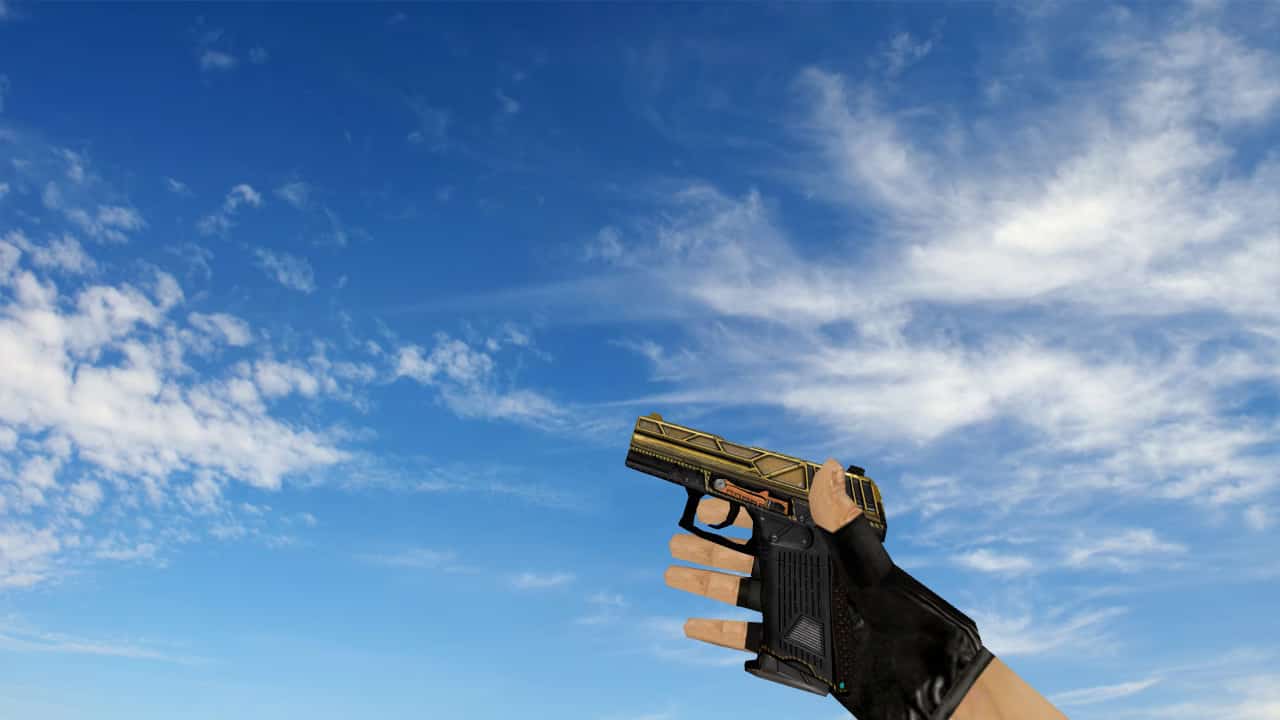 P2000 «Большая пушка»