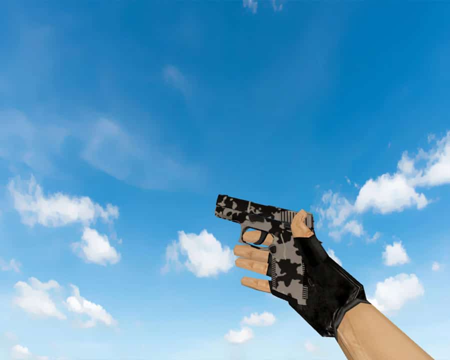 P250 | Чёрно-коричневый (Black & Tan)
