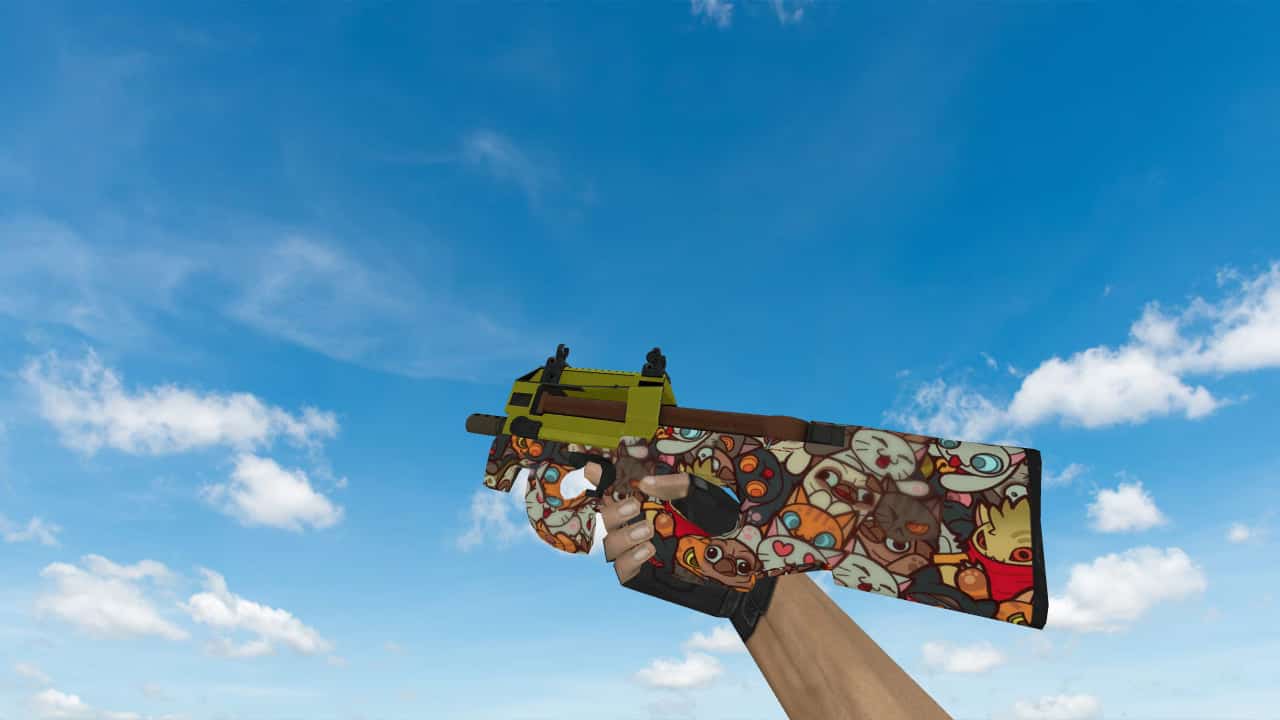 P90 «ЛАПКИ»