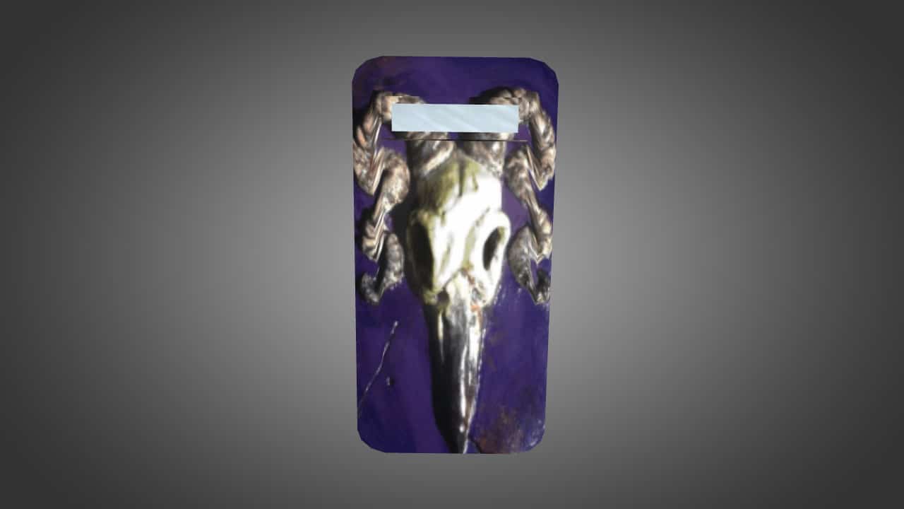 House Valkyrie Shield