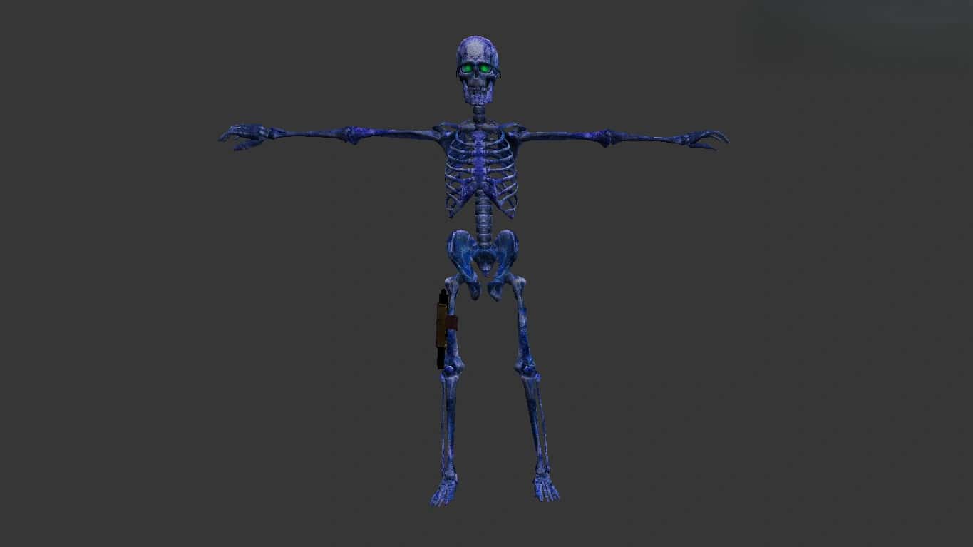 Skeleton КТ-ТТ