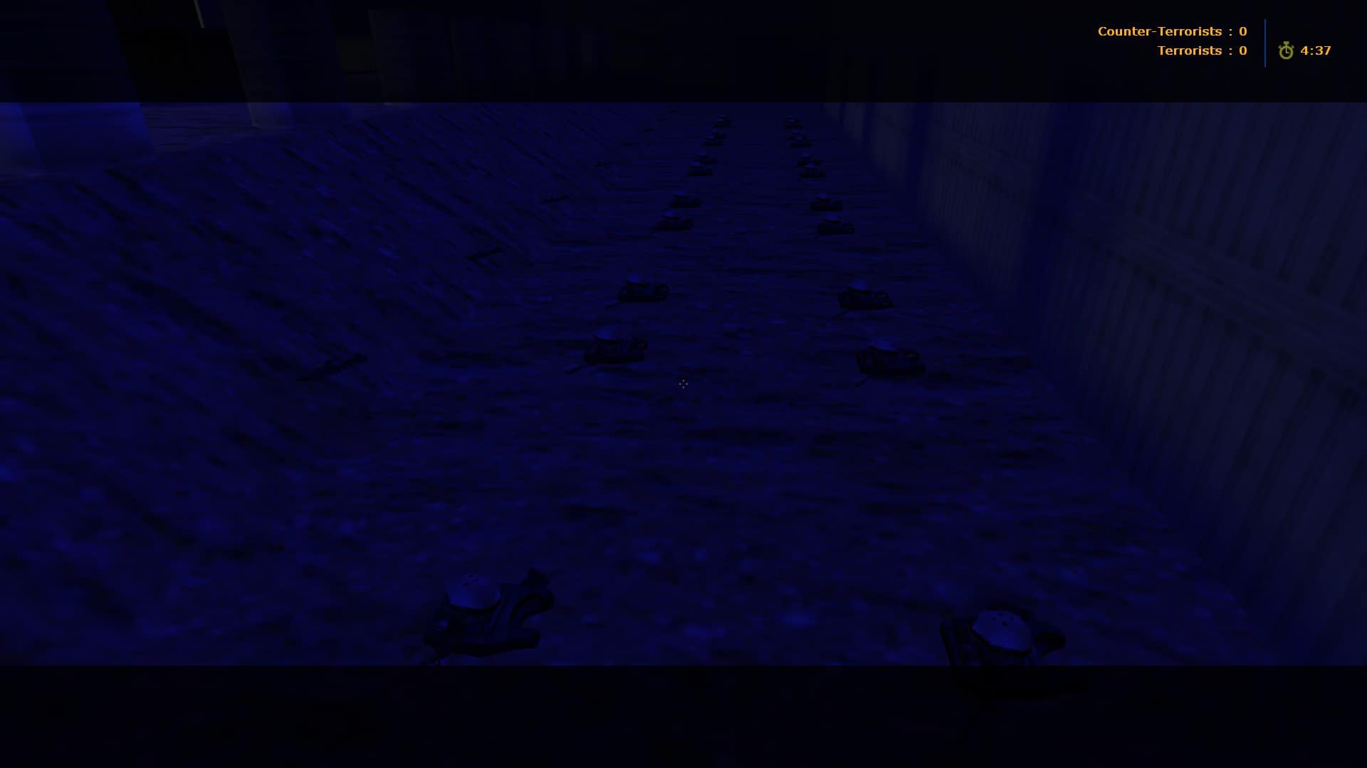 aim_ak_colt_field