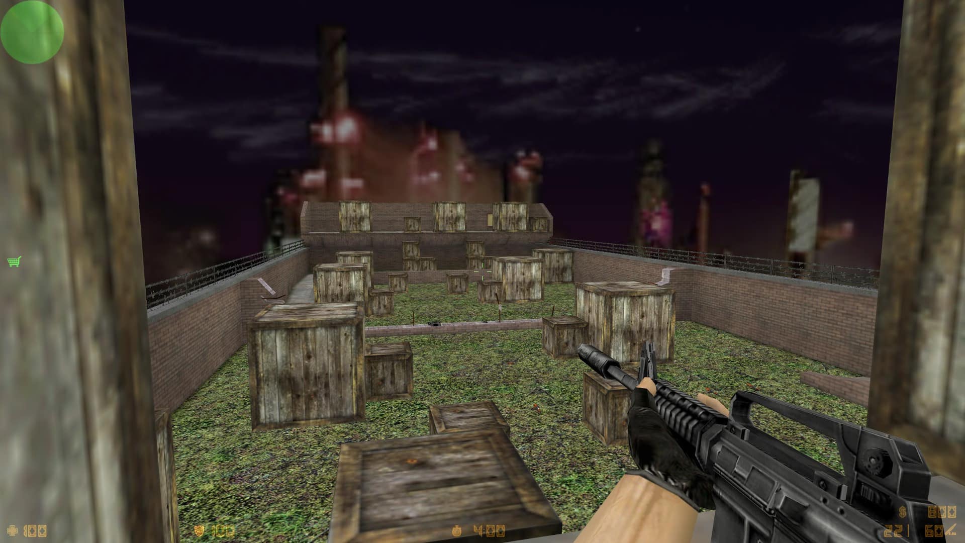 aim_lionn