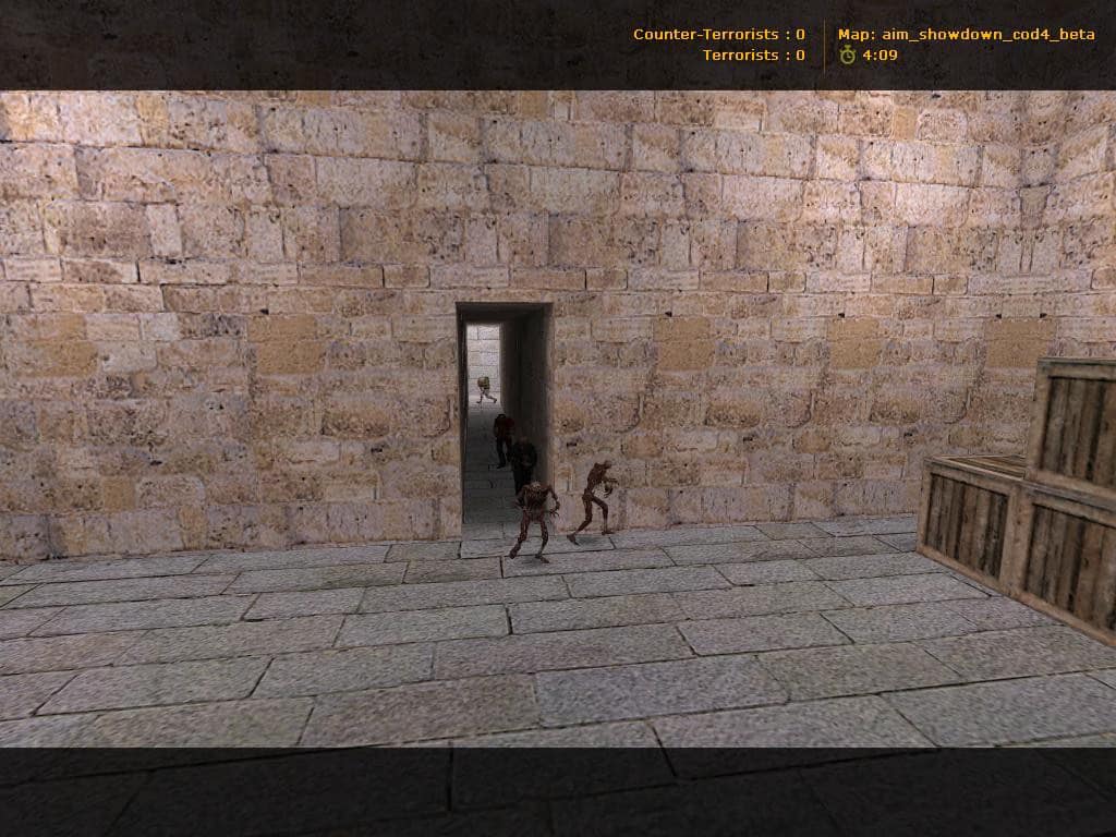 aim_showdown_cod4_beta