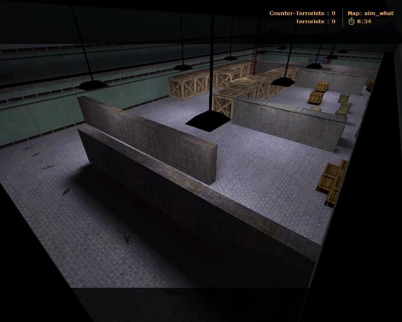 aim_what