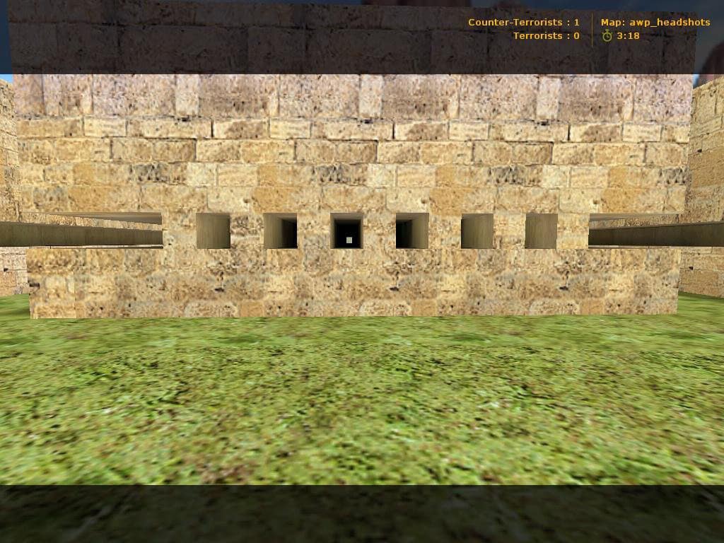awp_headshots