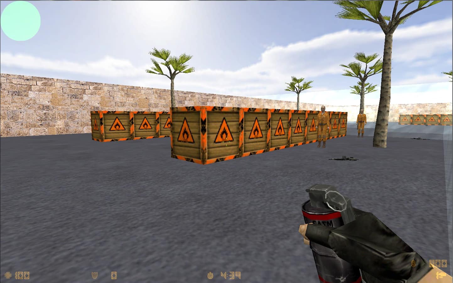 cs_crazy
