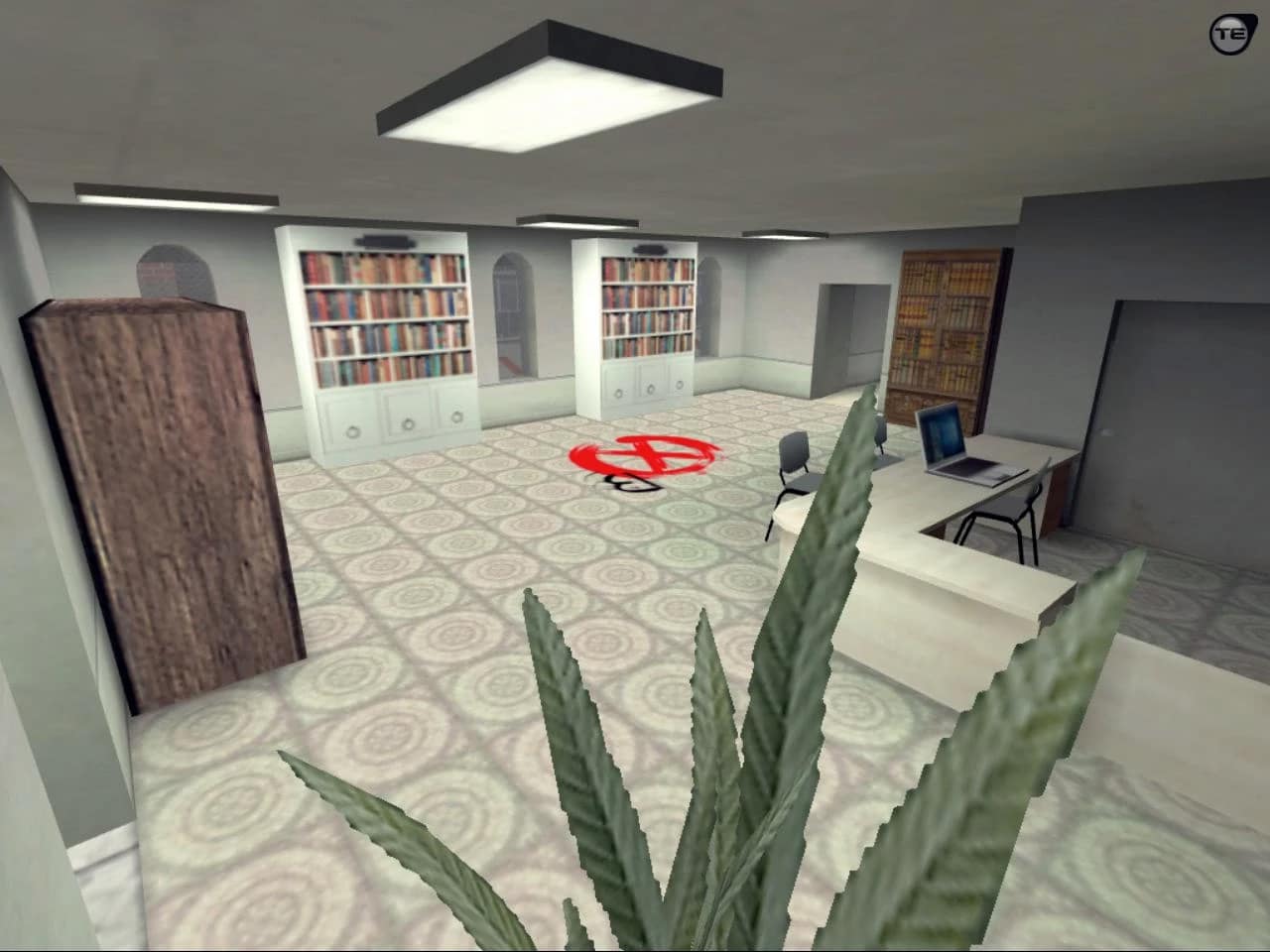 de_miez