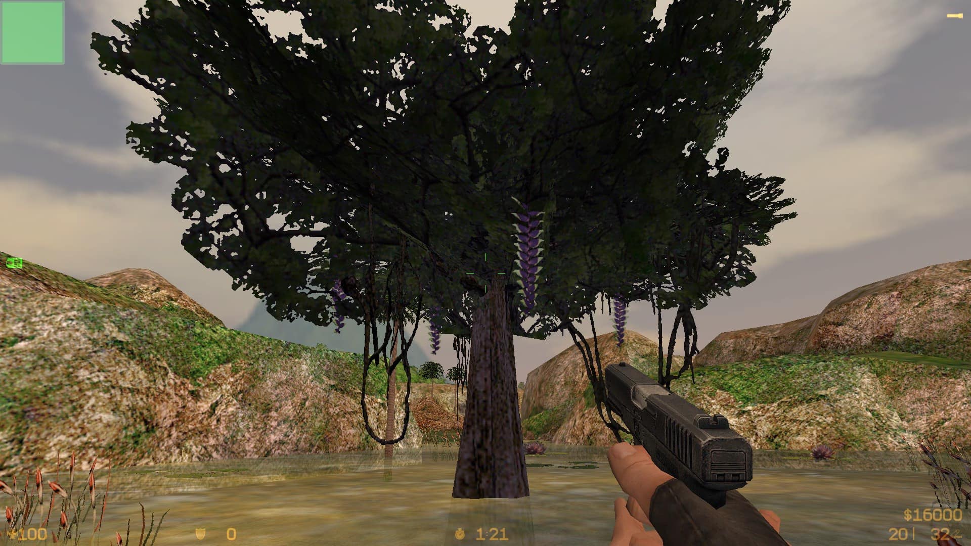 de_raoni_beta1