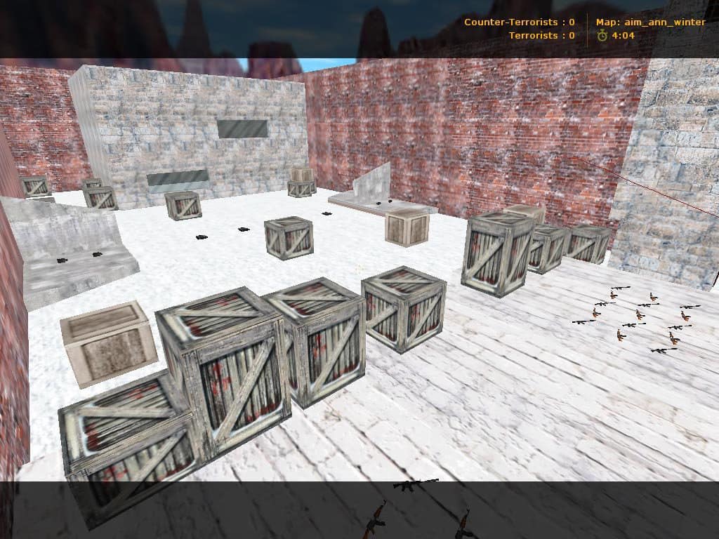 aim_ann_winter