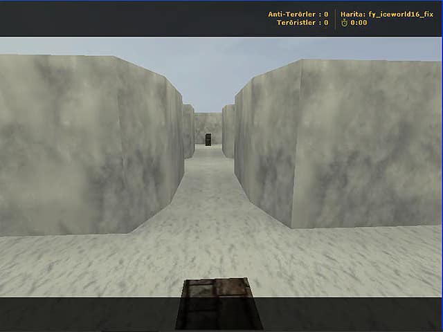 fy_iceworld16_fix