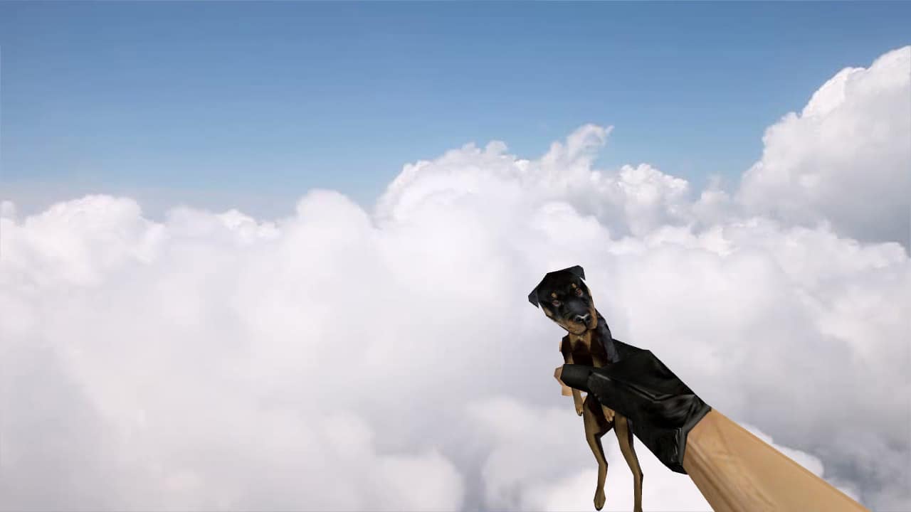 Dog Grenade