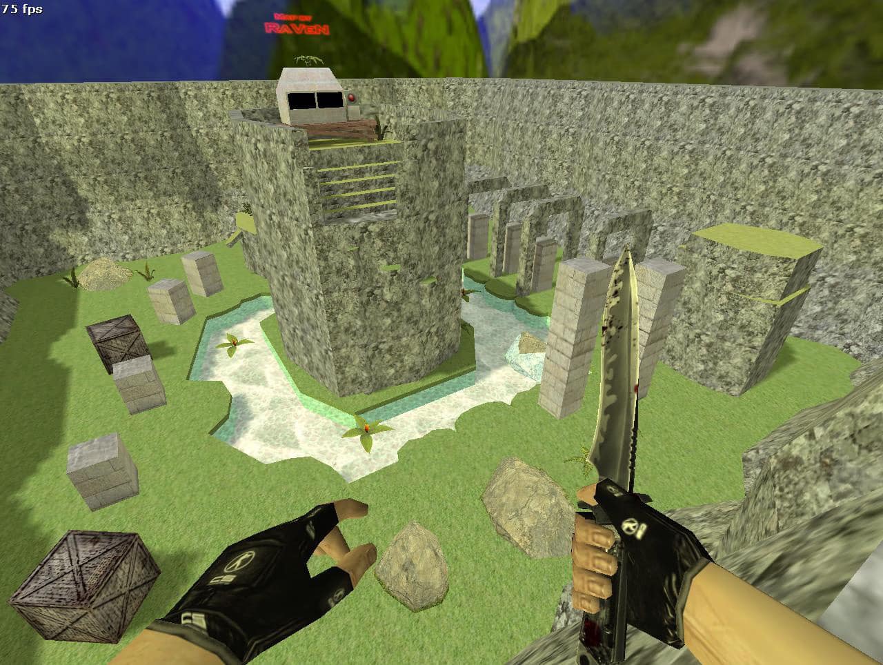 hnslt_raven_hops