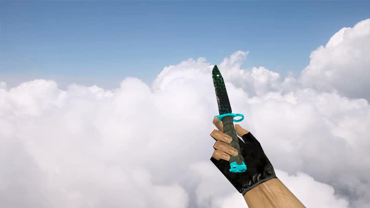 Bayonet Polymer