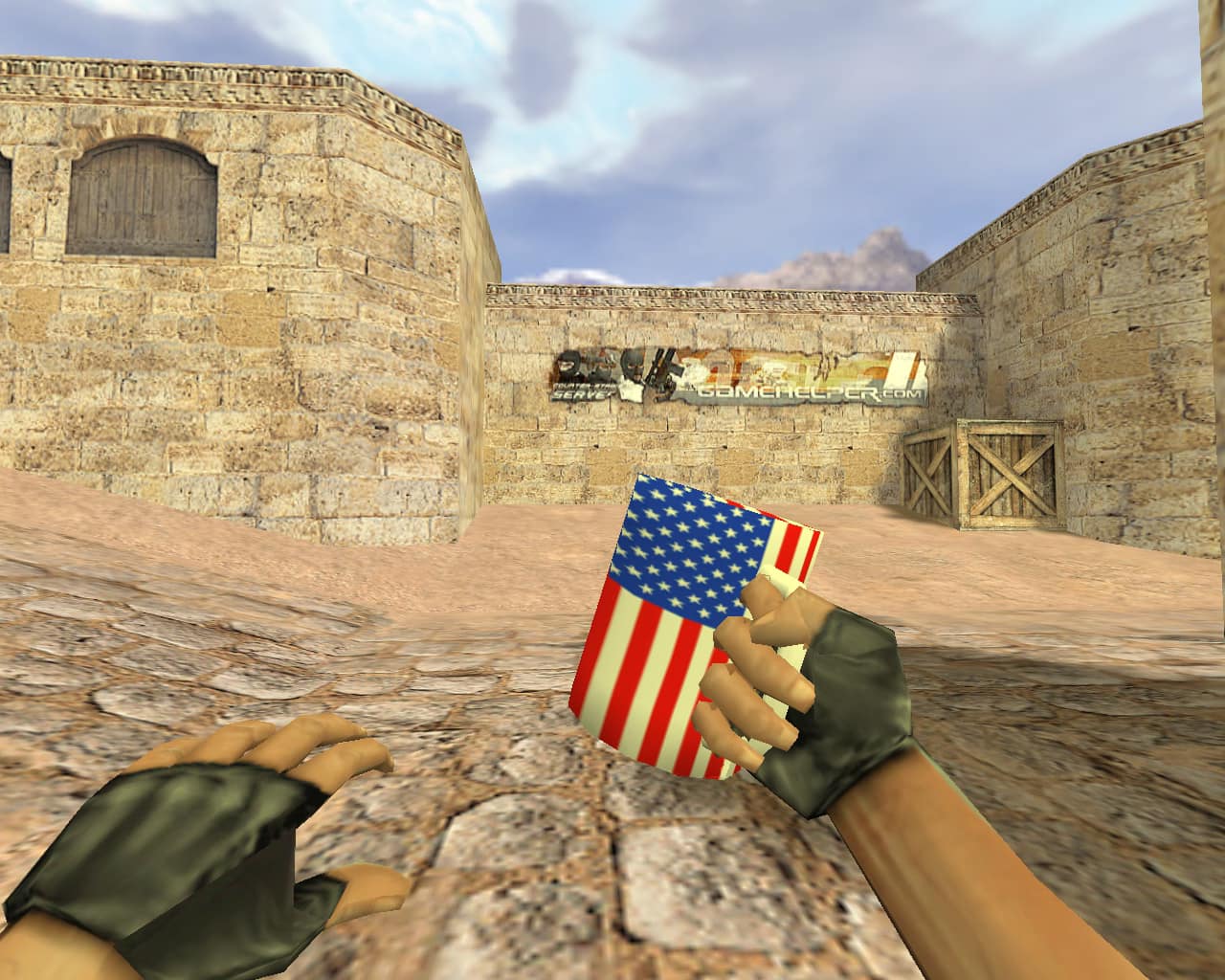 Кружка США