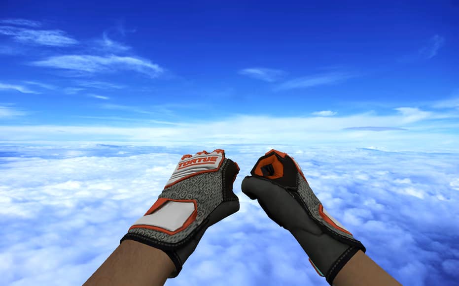 Пак моделей оружия «Specialist Gloves | Foundation Pack» 