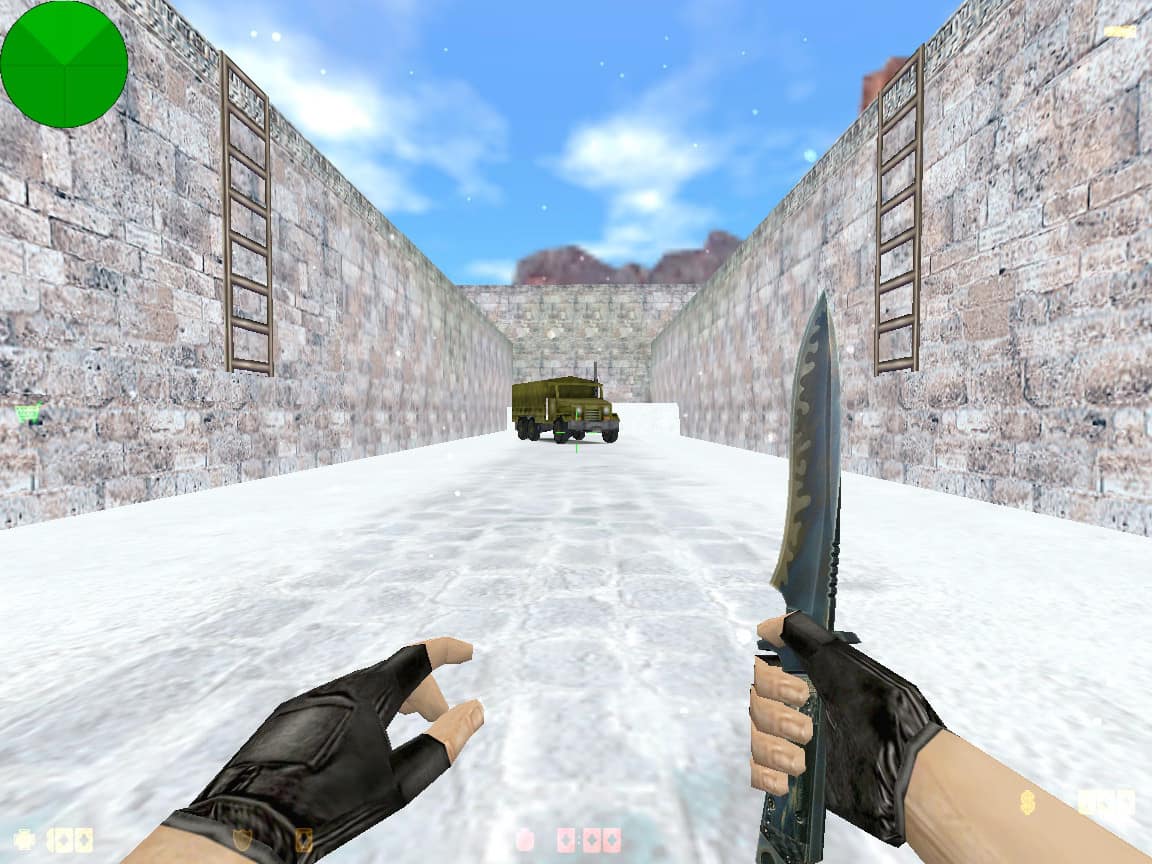 zm_snow55_dp