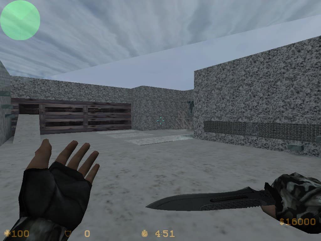 zm_snow_vk6