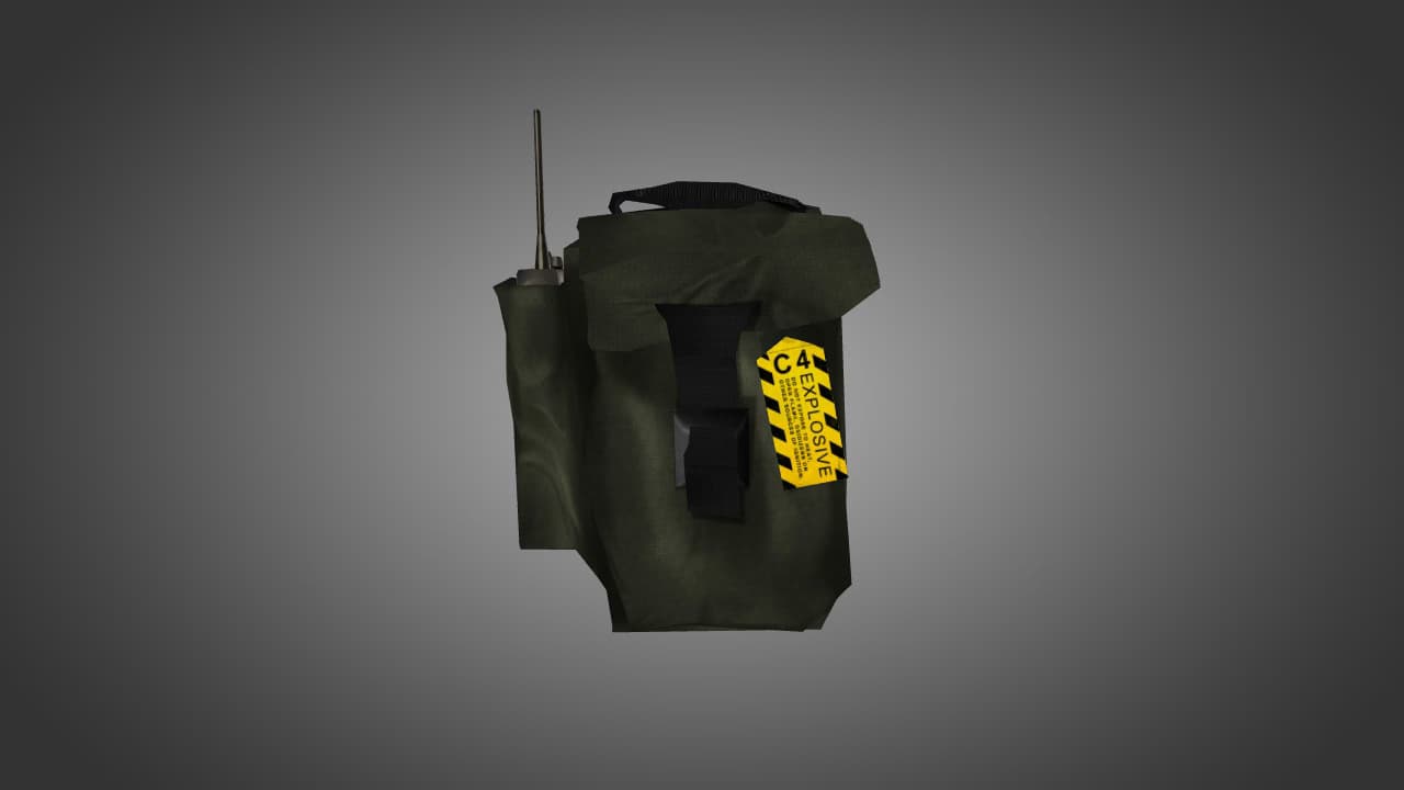 Рюкзак C4