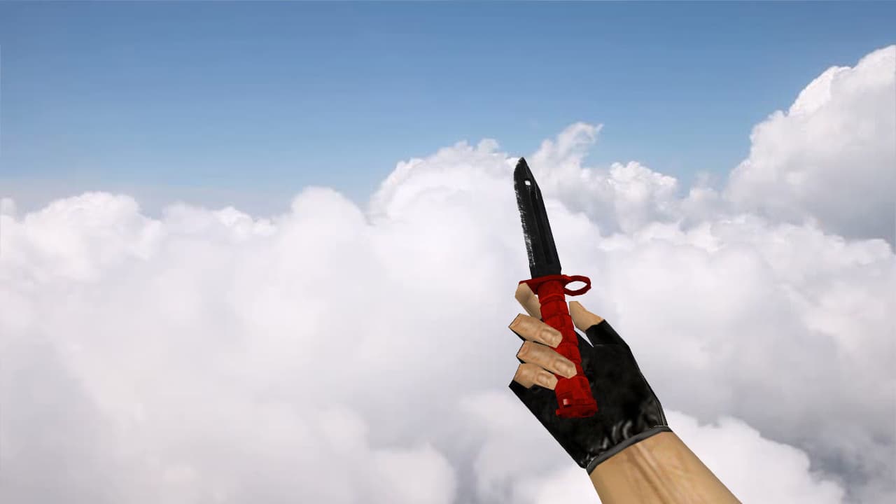 Bayonet Nitro
