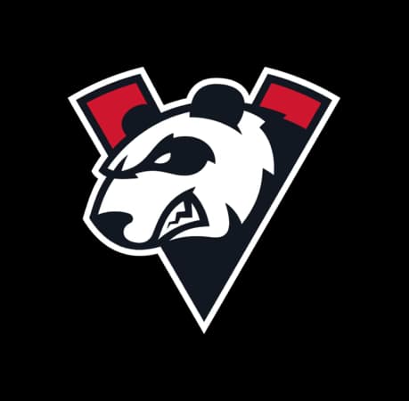 Virtus.pro Chinese Special Logo