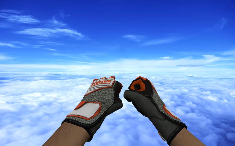 Пак моделей зброї «Specialist Gloves | Foundation Pack»