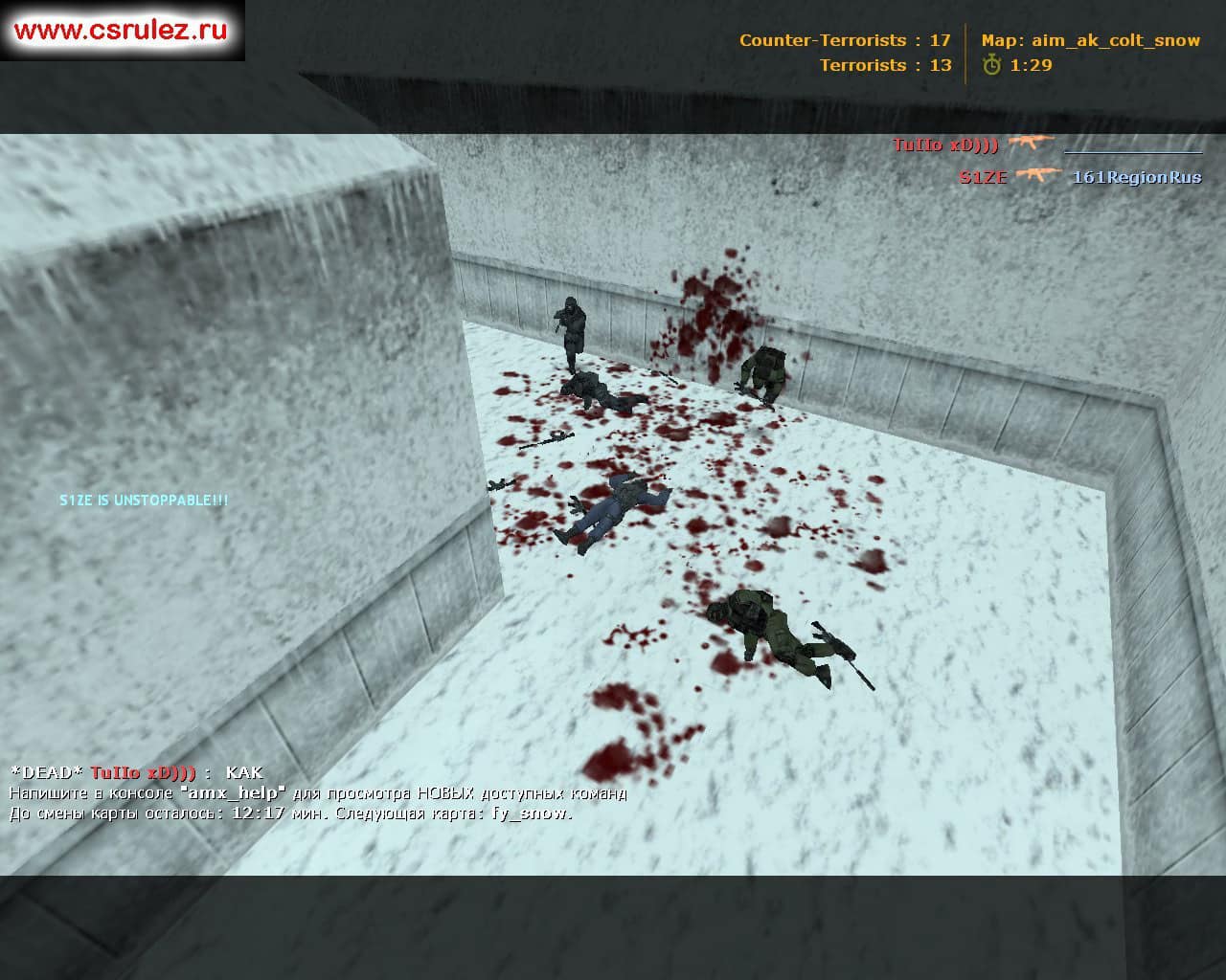 aim_ak_colt_snow