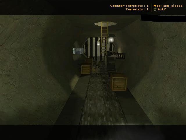 aim_cloaca