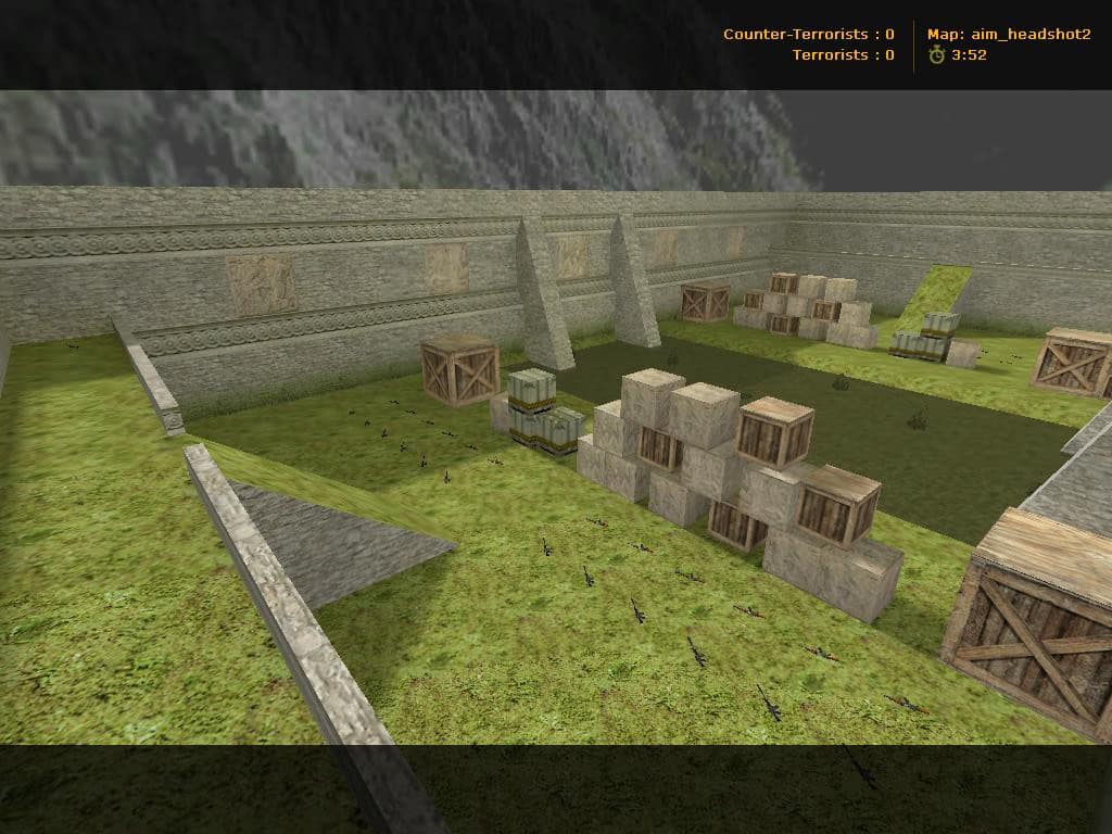 aim_headshot2